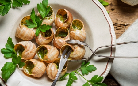 snails-on-plate